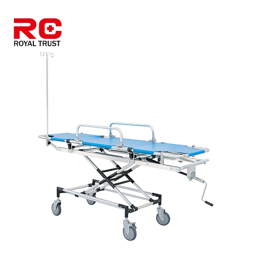 Analysis of the Impact of RemeGen's Differentiation Strategy on the Market Space of Disitamab Vedotin